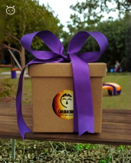 MODO ALL-IN: Los 5 Chuis en una sola mochila! 🎒Pogo, Neutrón, Nonaga, Dao y Keru en un solo kit, con 20% off y listos para viajar con vos.Es como una mini biblioteca lúdica:
• uno para pensar y craneársela,
• otro para picantear la mesa,
• otro ideal para talleres y clubes…Siempre hay un Chui que encaja con el grupo.
Para familias, docentes y jugones que quieren variedad sin llenar la repisa (ni la mochila).Y sí: hacemos envíos a todo el país. 🇦🇷 💪💬 ¿Cuál de los cinco usarías primero para romper el hielo con un grupo nuevo?👉 En el link de la bio encontrás el Kit x5 y toda la info.#Kitx5 #Los5Chuis #carabachuis #juegosdemesa #juegosdemesafamiliares #juegosabstractos #juegosargentinos #regalooriginal #viajesconjuegos #juegosenlaaula